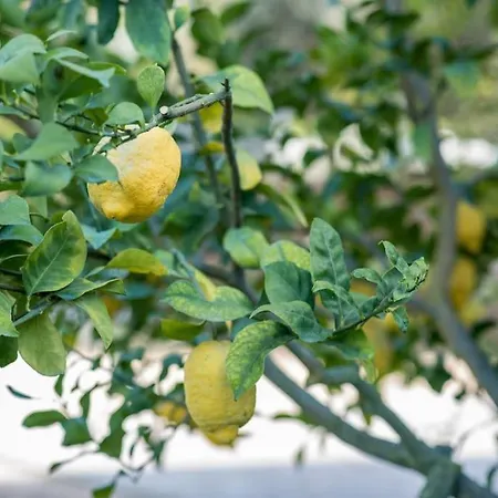 Holiday home Barrocal Nature Nelas