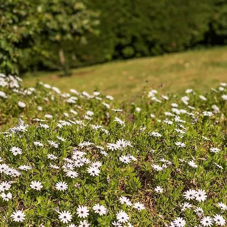 Barrocal Nature Дом отдыха Нелаш