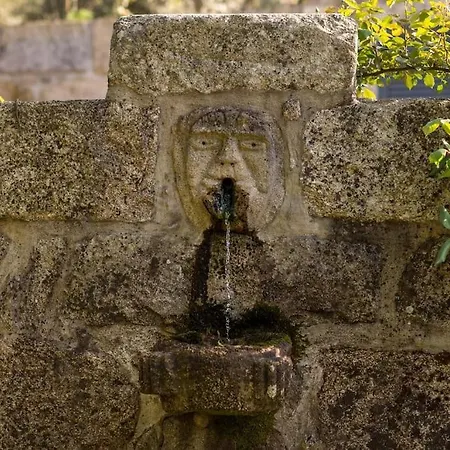 Дом отдыха Barrocal Nature Нелаш