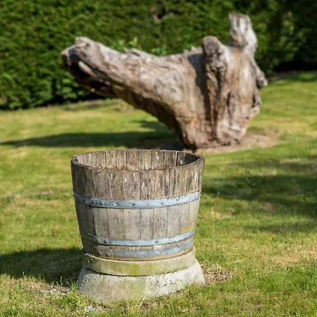 Barrocal Nature * Нелаш