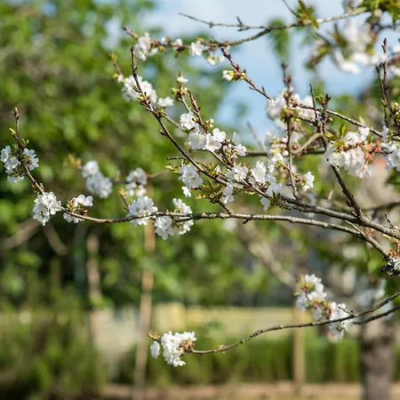 Holiday home Barrocal Nature *