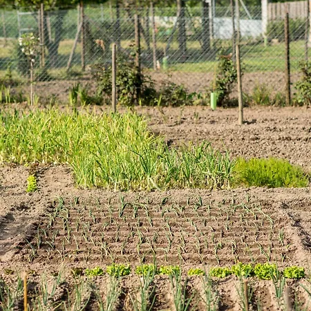 Barrocal Nature Дом отдыха Нелаш