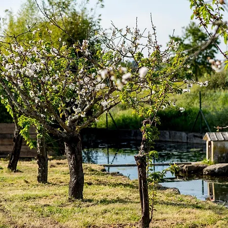 Barrocal Nature Holiday home *