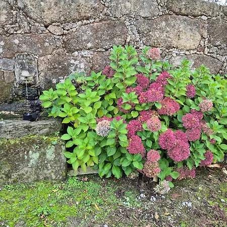 Barrocal Nature Дом отдыха Нелаш