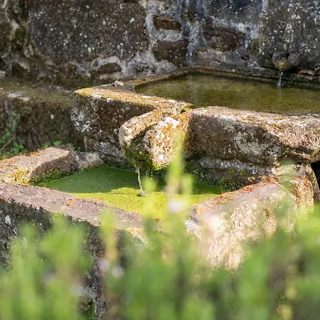 Barrocal Nature Нелаш