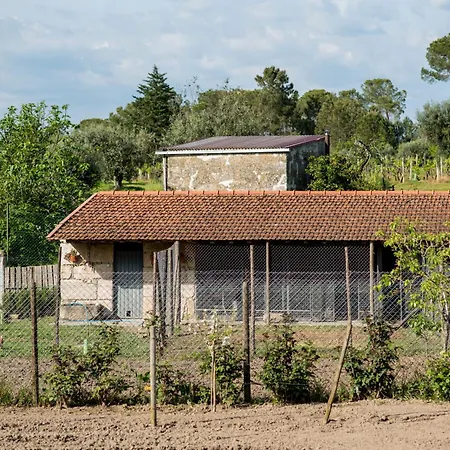 Barrocal Nature * Nelas