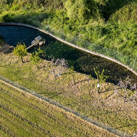 Holiday home Barrocal Nature Nelas