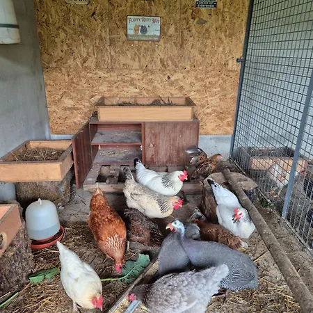 Barrocal Nature * Нелаш