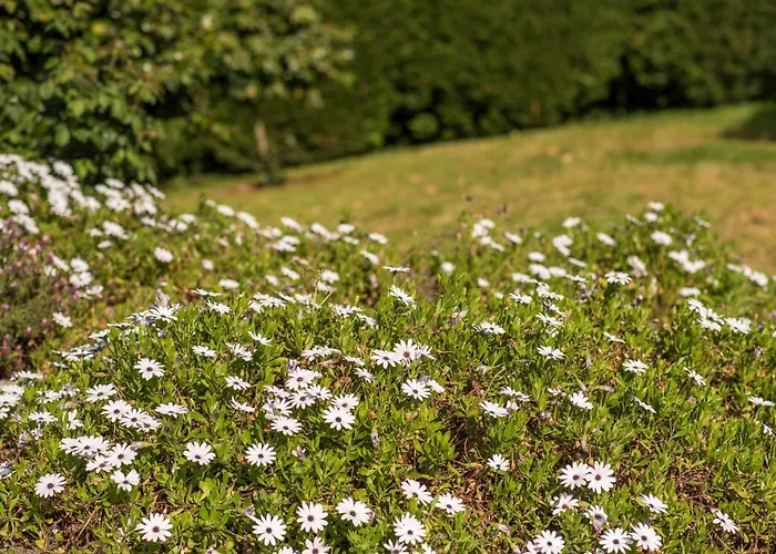 Prázdninový dům Barrocal Nature *