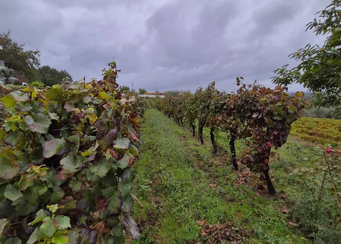 Barrocal Nature Prázdninový dům