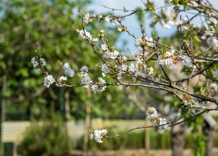 Prázdninový dům Barrocal Nature *