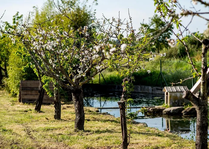 Barrocal Nature Prázdninový dům *