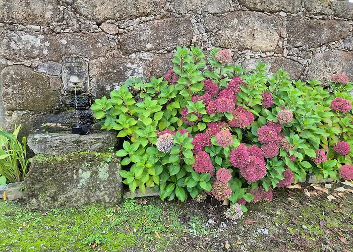Barrocal Nature Prázdninový dům Nelas