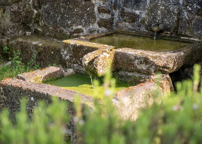 Barrocal Nature Nelas