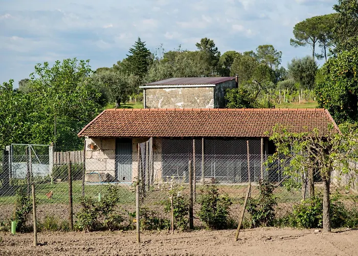 Barrocal Nature * Nelas