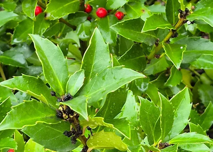 Barrocal Nature Prázdninový dům *