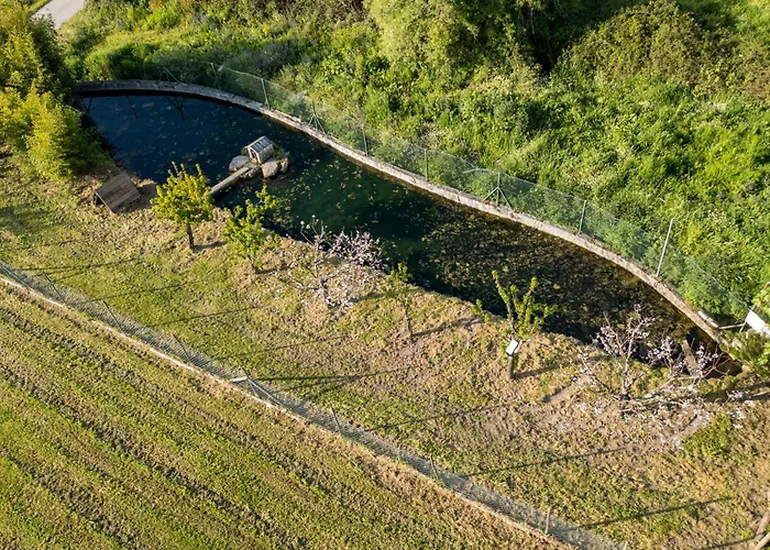Prázdninový dům Barrocal Nature Nelas